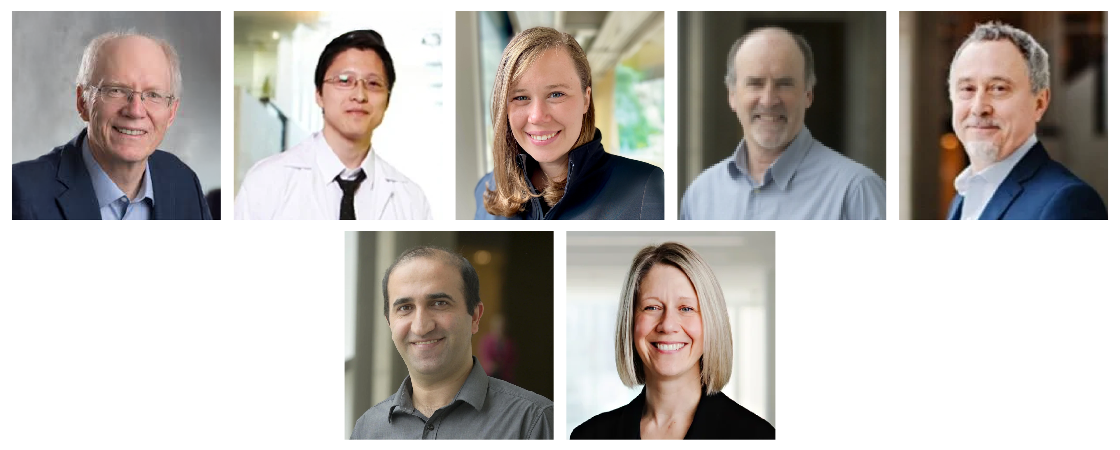 Researcher headshots. From left to right: Wayne Parker, Alex Wong, Elisabeth Prince, David Rudolph, Philippe van Cappellen, Fereidoun Rezanezhad and Shannon Majowicz